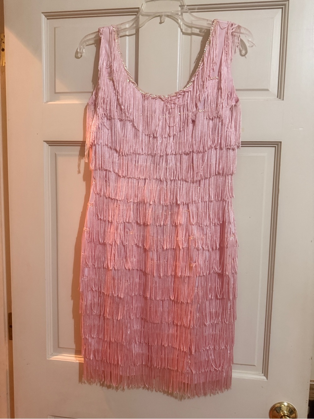 Roberta Bridal Pink Fringe Mini Dress
